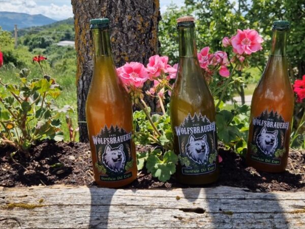 Screenshot_20231012_231145_Gallery Screenshot_20231012_231145_Gallery