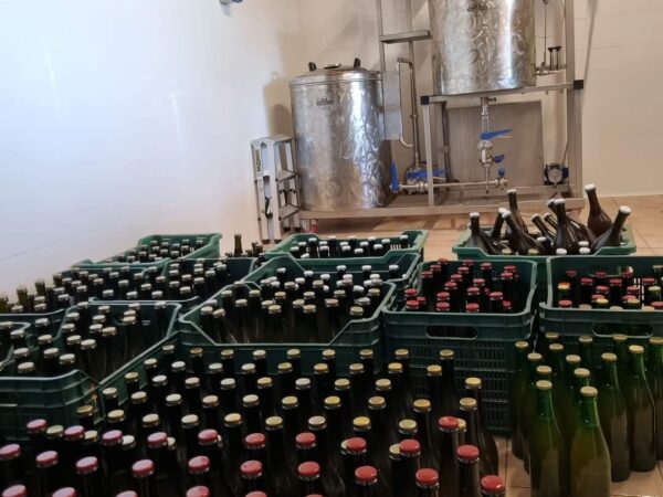 pro-9THlHCh4 pro-9THlHCh4